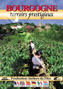 Burgundy: Prestigious Terroirs | Bourgogne : Terroirs prestigieux   |   DVD